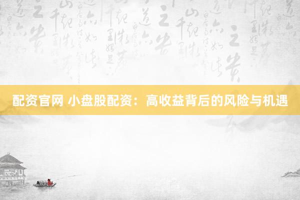 配资官网 小盘股配资：高收益背后的风险与机遇