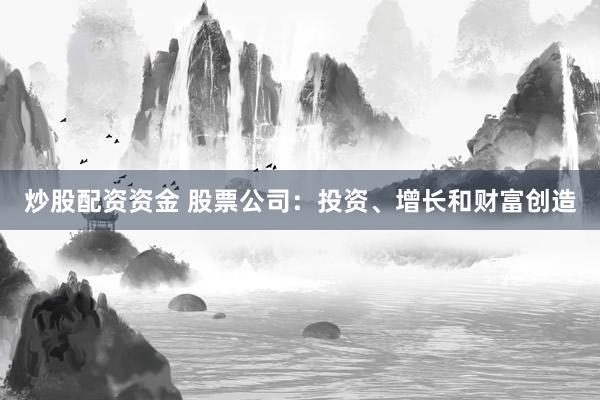 炒股配资资金 股票公司：投资、增长和财富创造