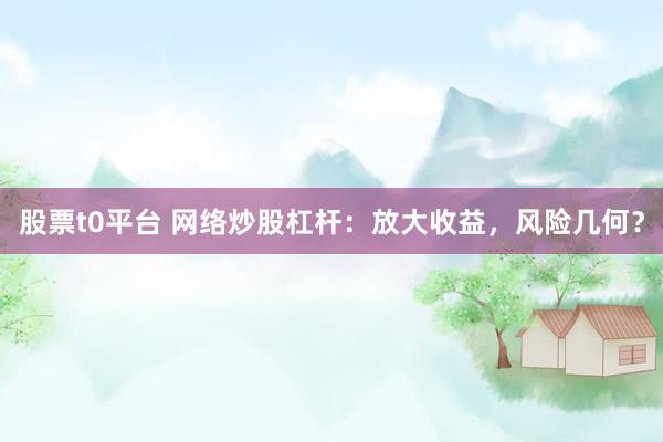 股票t0平台 网络炒股杠杆：放大收益，风险几何？