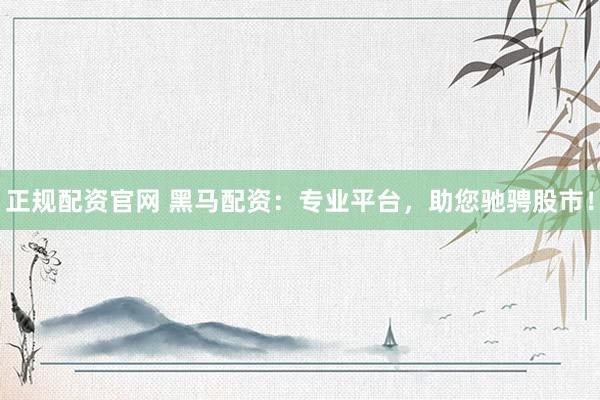 正规配资官网 黑马配资：专业平台，助您驰骋股市！