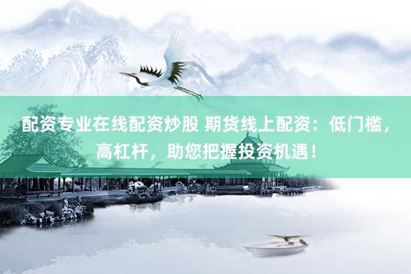 配资专业在线配资炒股 期货线上配资：低门槛，高杠杆，助您把握投资机遇！
