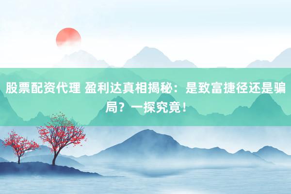 股票配资代理 盈利达真相揭秘：是致富捷径还是骗局？一探究竟！