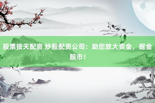 股票按天配资 炒股配资公司：助您放大资金，掘金股市！