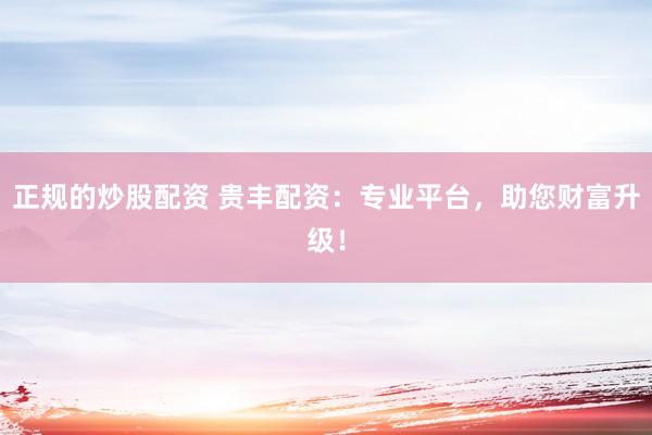 正规的炒股配资 贵丰配资：专业平台，助您财富升级！