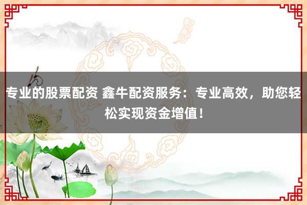专业的股票配资 鑫牛配资服务：专业高效，助您轻松实现资金增值！