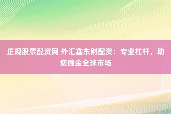 正规股票配资网 外汇鑫东财配资：专业杠杆，助您掘金全球市场