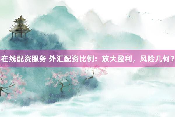在线配资服务 外汇配资比例：放大盈利，风险几何？