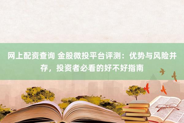 网上配资查询 金股微投平台评测：优势与风险并存，投资者必看的好不好指南
