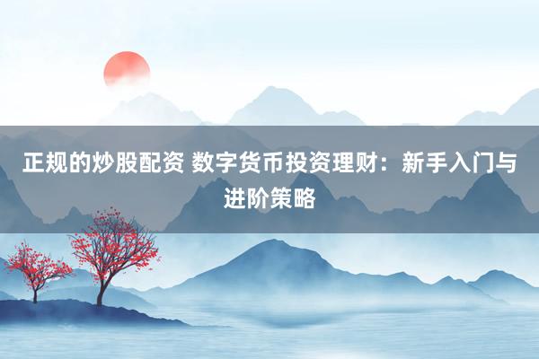 正规的炒股配资 数字货币投资理财：新手入门与进阶策略