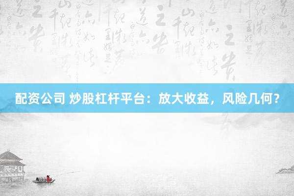 配资公司 炒股杠杆平台：放大收益，风险几何？