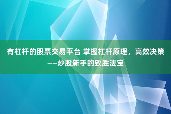 有杠杆的股票交易平台 掌握杠杆原理，高效决策——炒股新手的致胜法宝