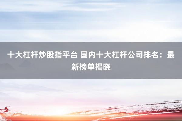 十大杠杆炒股指平台 国内十大杠杆公司排名：最新榜单揭晓