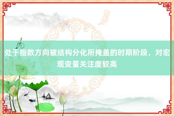 处于指数方向被结构分化所掩盖的时期阶段，对宏观变量关注度较高