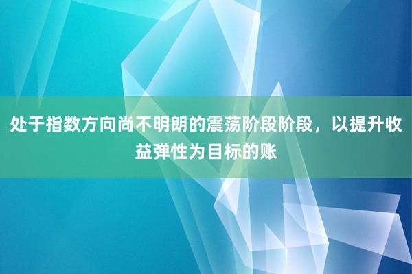 处于指数方向尚不明朗的震荡阶段阶段,以提升收益弹性为目标的账