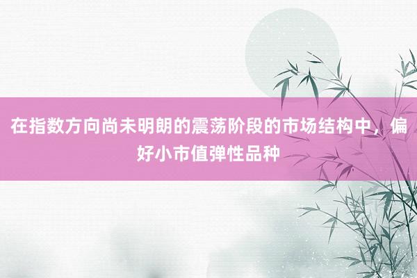 在指数方向尚未明朗的震荡阶段的市场结构中,偏好小市值弹性品种