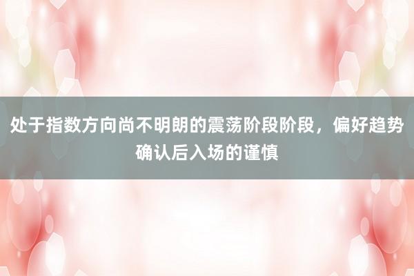 处于指数方向尚不明朗的震荡阶段阶段，偏好趋势确认后入场的谨慎