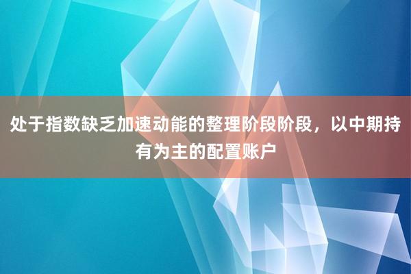 处于指数缺乏加速动能的整理阶段阶段，以中期持有为主的配置账户