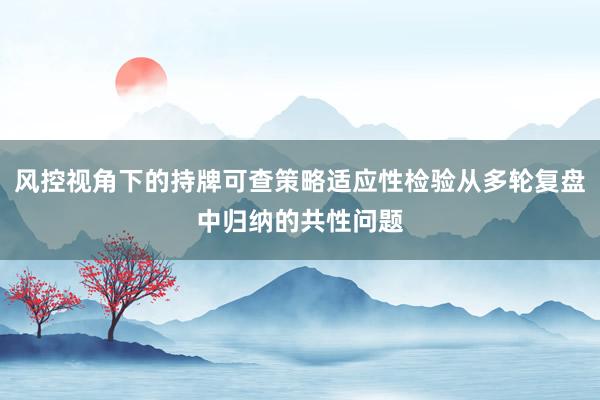 风控视角下的持牌可查策略适应性检验从多轮复盘中归纳的共性问题