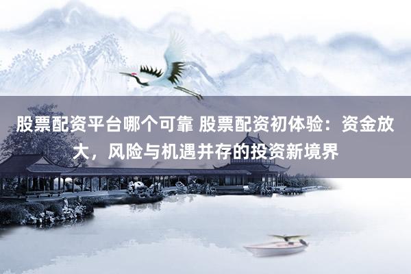 股票配资平台哪个可靠 股票配资初体验:资金放大,风险与机遇并存的投资新境界